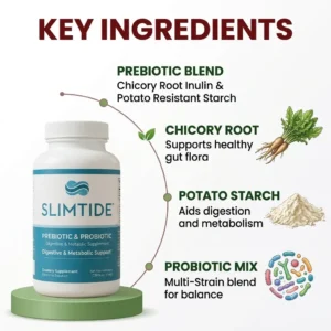 A product infographic showcasing the SlimTide Prebiotic & Probiotic supplement bottle standing on a green pedestal. On the right side, curved lines connect the bottle to illustrations of its key ingredients: chicory root, potato starch powder, and a colorful multi-strain probiotic microorganism mix, accompanied by descriptive text for each component under the heading "KEY INGREDIENTS".